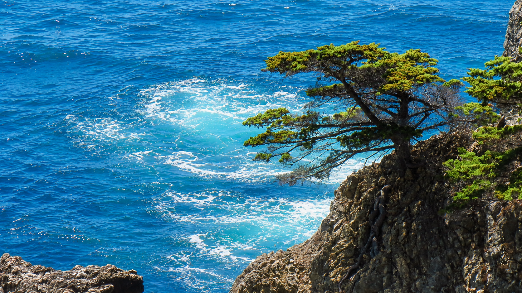 BigSur-Monterey (2)